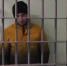 Ирина Волк: В Подмосковье полицейские задержали подозреваемого в дистанционном мошенничестве - Газета Время
