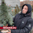 Вместо елей и пихт многие щелковцы предпочитают покупать сосны - Regions.Ru