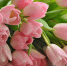 cvetui-babfd8d181.jpg - Комитет по образованию