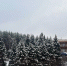 photo_2025-11-15_13-38-51 - ТРК Щелково