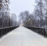 balashiha-park-22solnechnaja22-zima_00007 - ТРК Щелково