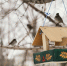 front-view-birdhouse-hanging-tree-outside-winter - ТРК Щелково
